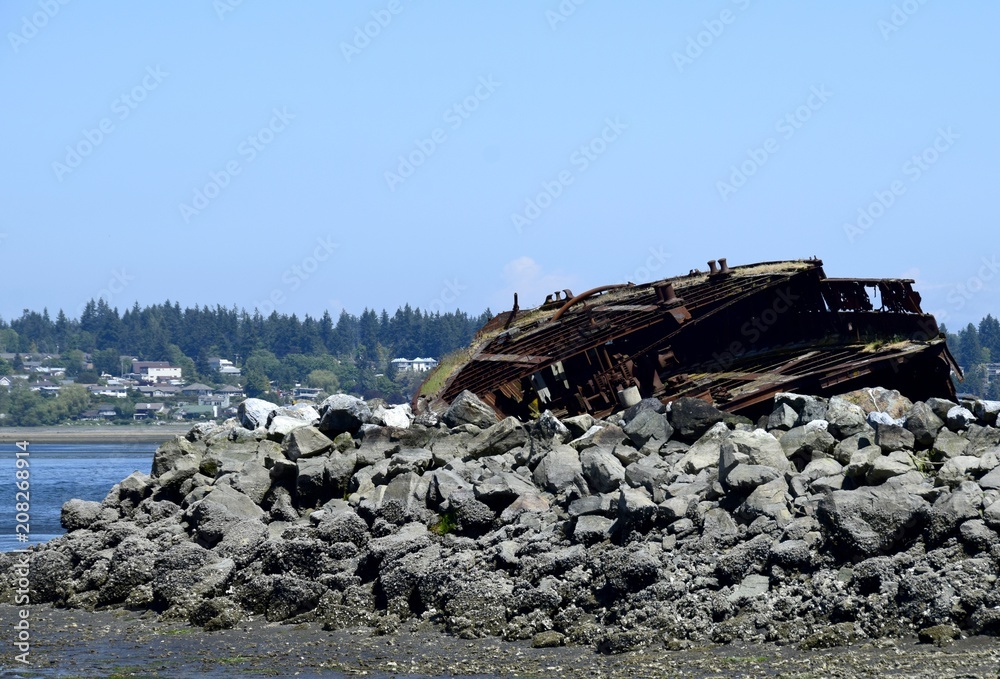 parts of a old rusty ship above the water surface during low tide  at the  Royston Shipwrecks  site near Courtenay  Vancouver Island, BC, Canada