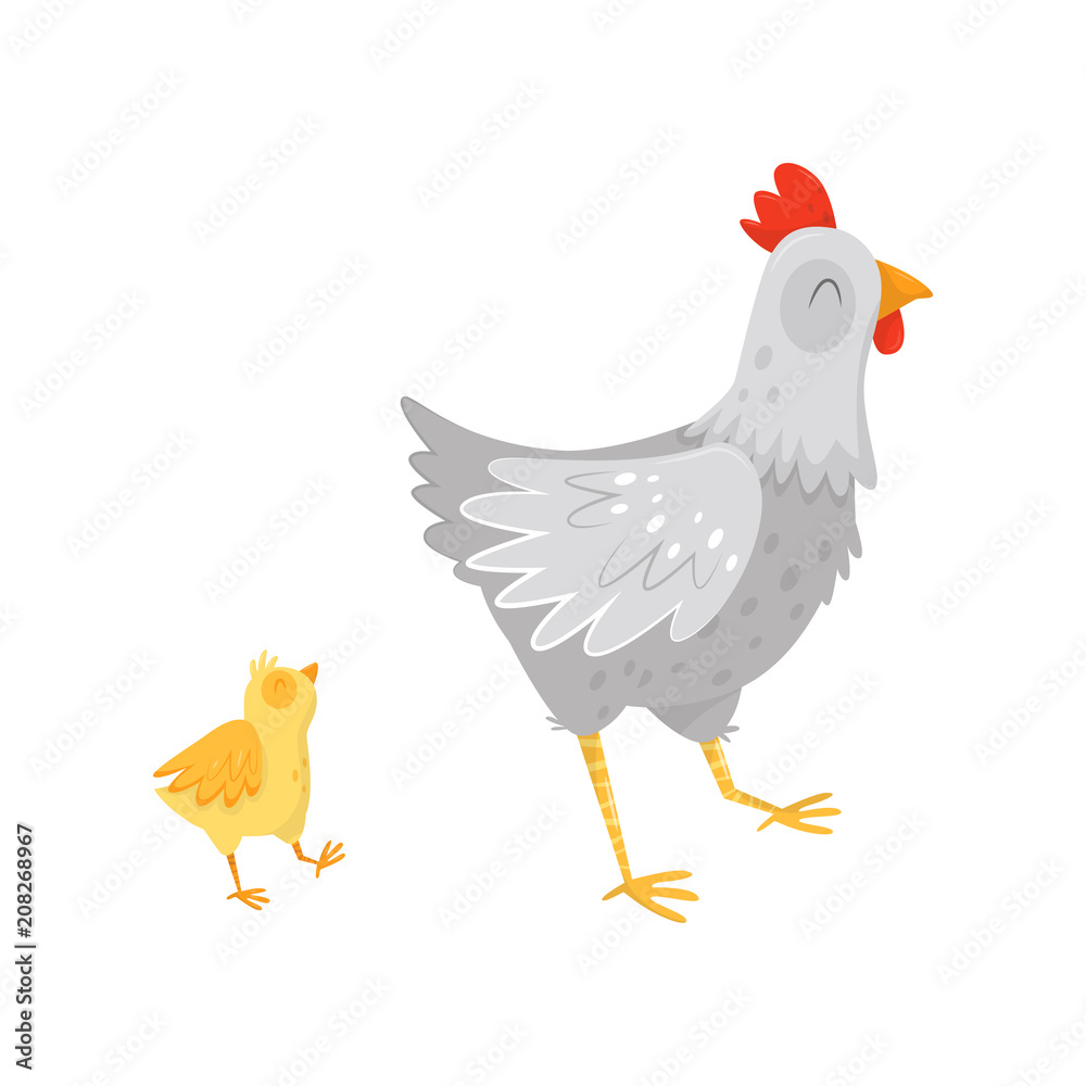 Gray hen walking with little yellow chick. Cartoon characters of farm birds. Domestic fowl. Flat vector for children book or poster