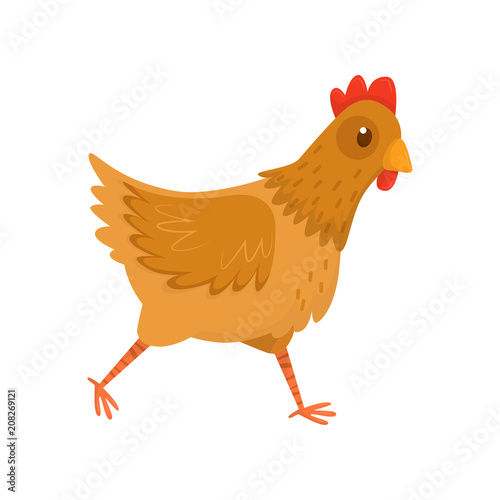 Flat vector icon of running hen. Chicken with brown feathers and red scallop. Farm bird. Domestic fowl