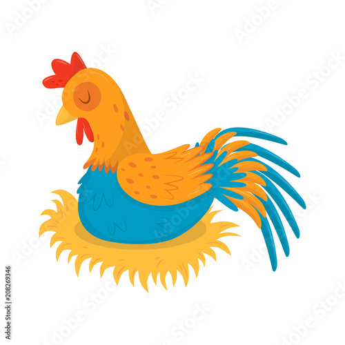 Farm rooster sleeping in his nest. Male domestic fowl with bright blue-orange feathers and red scallop. Flat vector icon