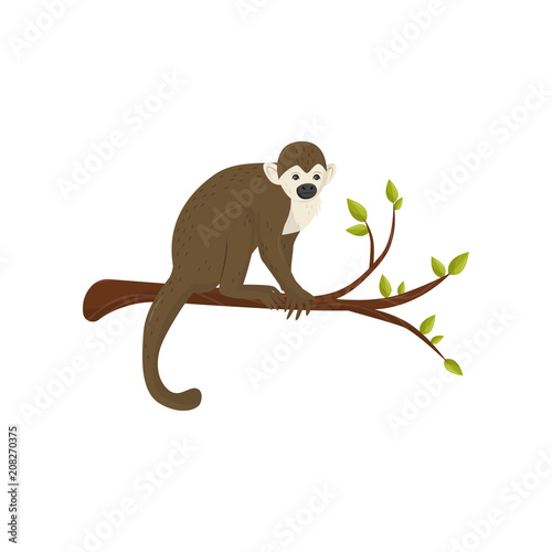 Flat vector icon of small monkey sitting on tree branch with green leaves. Wild animal from tropical forest
