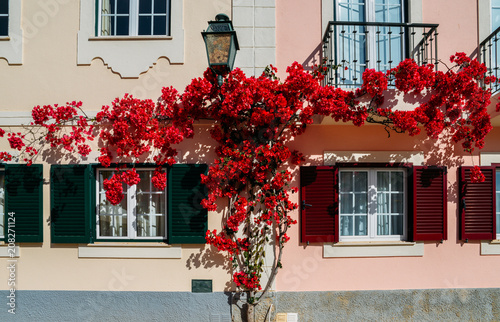 House built in traditional Portuguese architecture and covered by a red bougainvillea in Algarve,Portugal photo