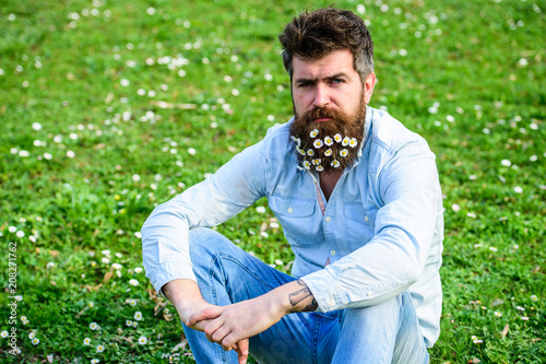 Hipster on calm face sits on grass. Natural hair care concept. Guy looks nicely with daisy or chamomile flowers in beard. Man with long beard and mustache, defocused green meadow background.