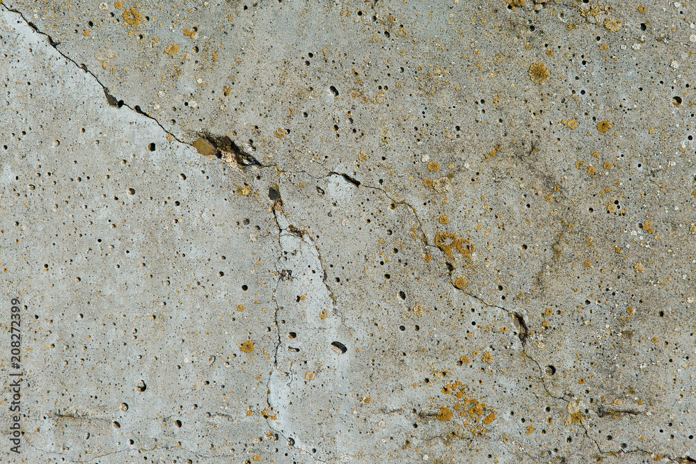Asbestos slate texture concrete covered with lichen and moss Asbestos slate texture concrete covered with lichen and moss