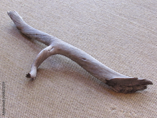 Old piece of driftwood photo