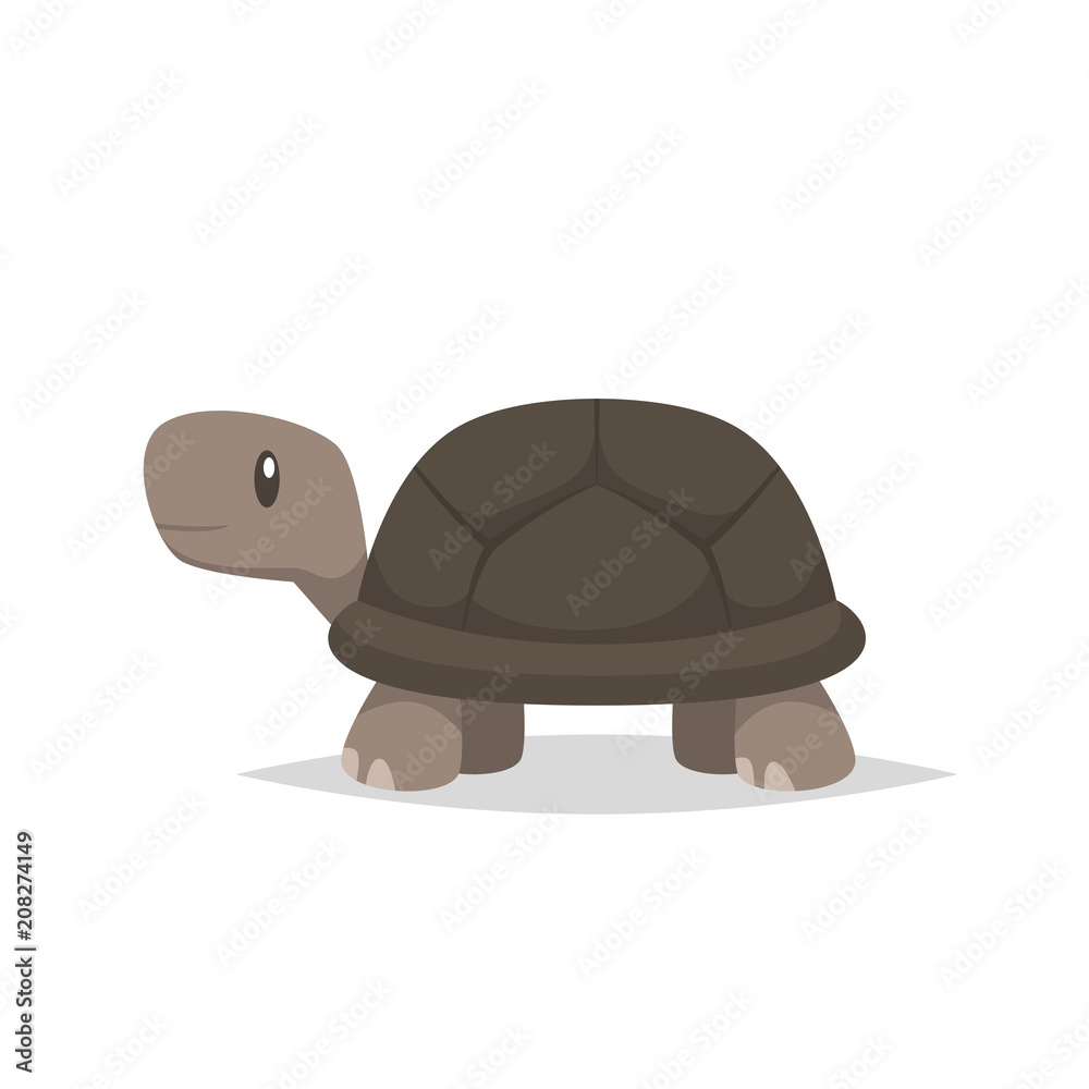 Obraz premium Żółw żółw wektor na białym tle