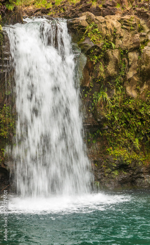 Scenic Maui Waterfall