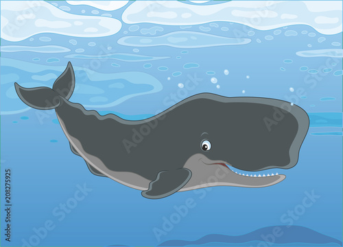 Cachalot swimming under ice floes in blue water of a polar sea, vector illustration