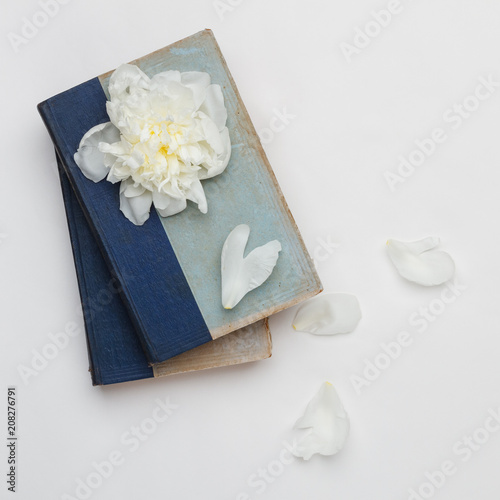 White peony and petals on old books