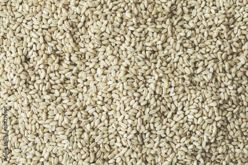 Close up texture of wheat Close up texture of wheat