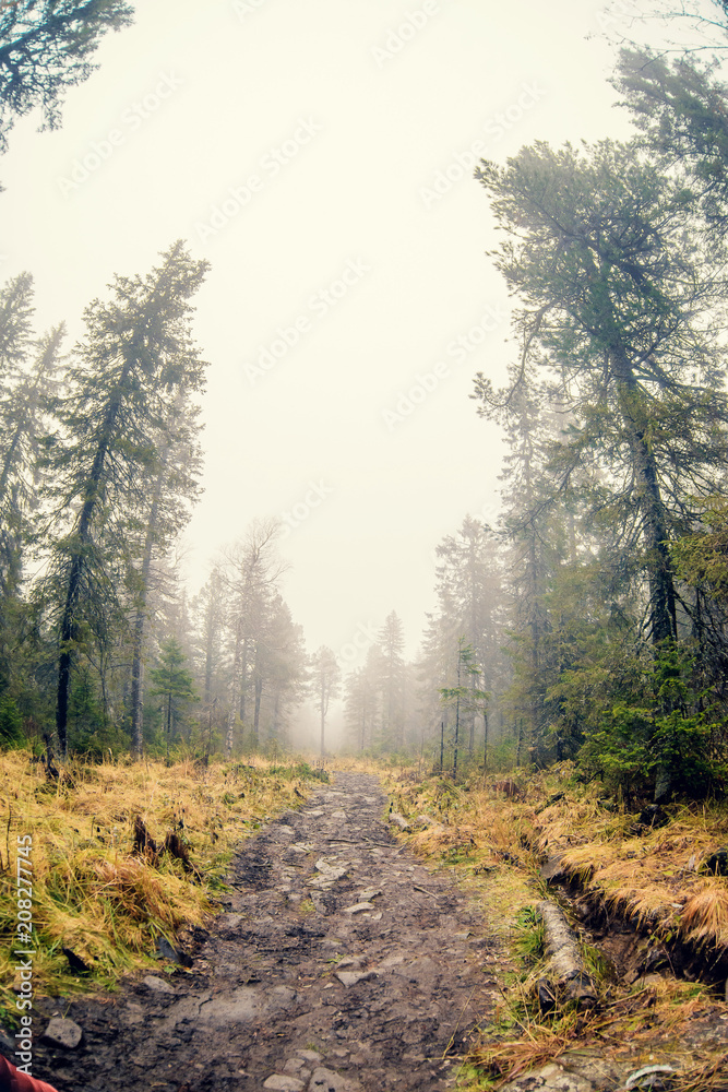 Autumn mist over river and forest - Beautiful fall landscape with a river going through stones, surrounded by forests in autumn colors and shrouded by a mystical mist. Autumn mist over river and forest - Beautiful fall landscape with a river going through stones, surrounded by forests in autumn colors and shrouded by a mystical mist.