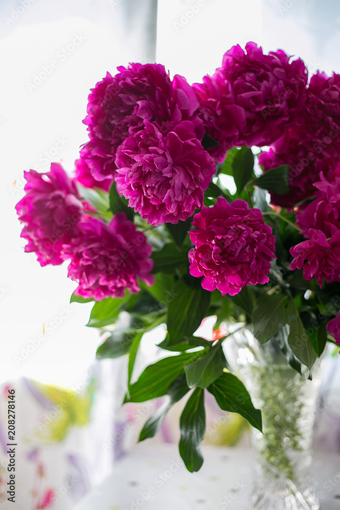 Bouquet of peonies in vase Bouquet of peonies in vase