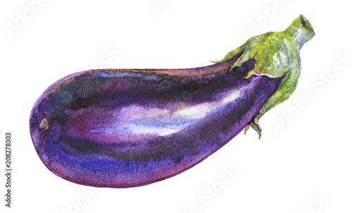 Watercolor painting eggplant on white background. Hand drawn vegetable illustration