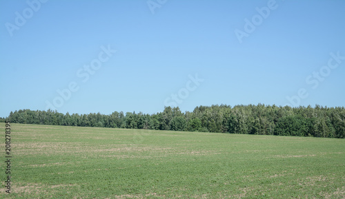 agricultural field lansdcape photo