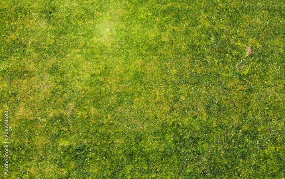 Grass texture. Aerial photo of green lawn. foto de Stock | Adobe Stock