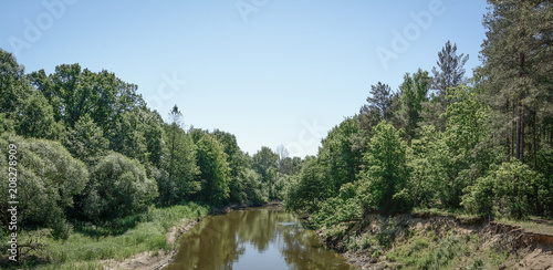 forest river lanscape