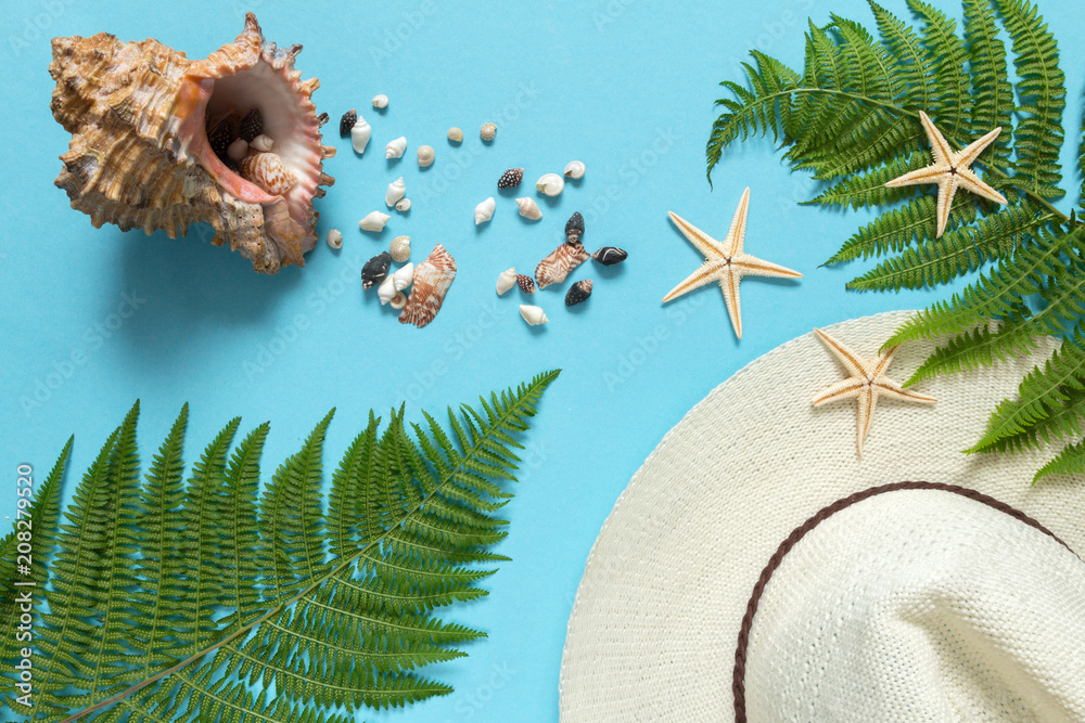 seashell, straw hat leaves on a blue background flat top view with copy space, concept of leisure and tourism seashell, straw hat leaves on a blue background flat top view with copy space, concept of leisure and tourism