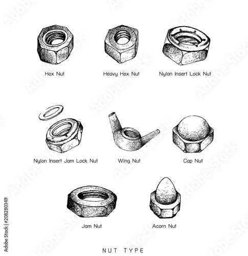 Hand Drawn Sketch Set of Nuts Type photo