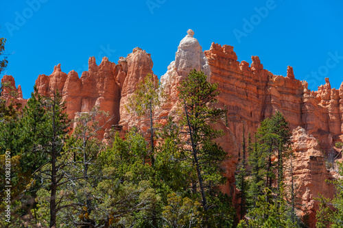 Queens Garden Trail, Bryce Canyon National Park. The most expansive views are near the top of the Queens Garden Trail, over a wide area of hoodoos to the north, extending towards Fairyland Canyon. 