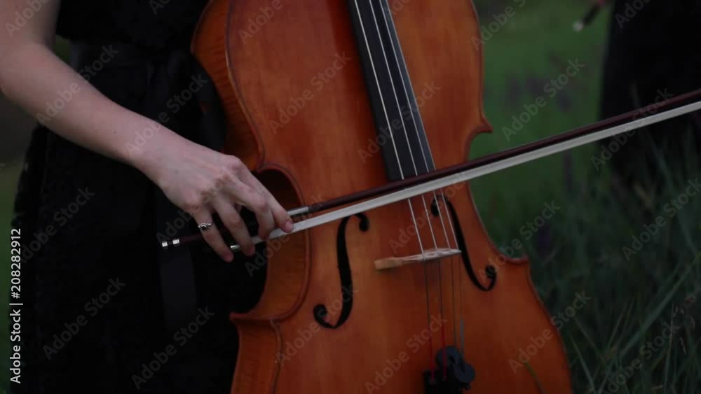 Woman cellist plays the cello on background of meadow and sky at dusk. Closeup. Woman cellist plays the cello on background of meadow and sky at dusk. Closeup.