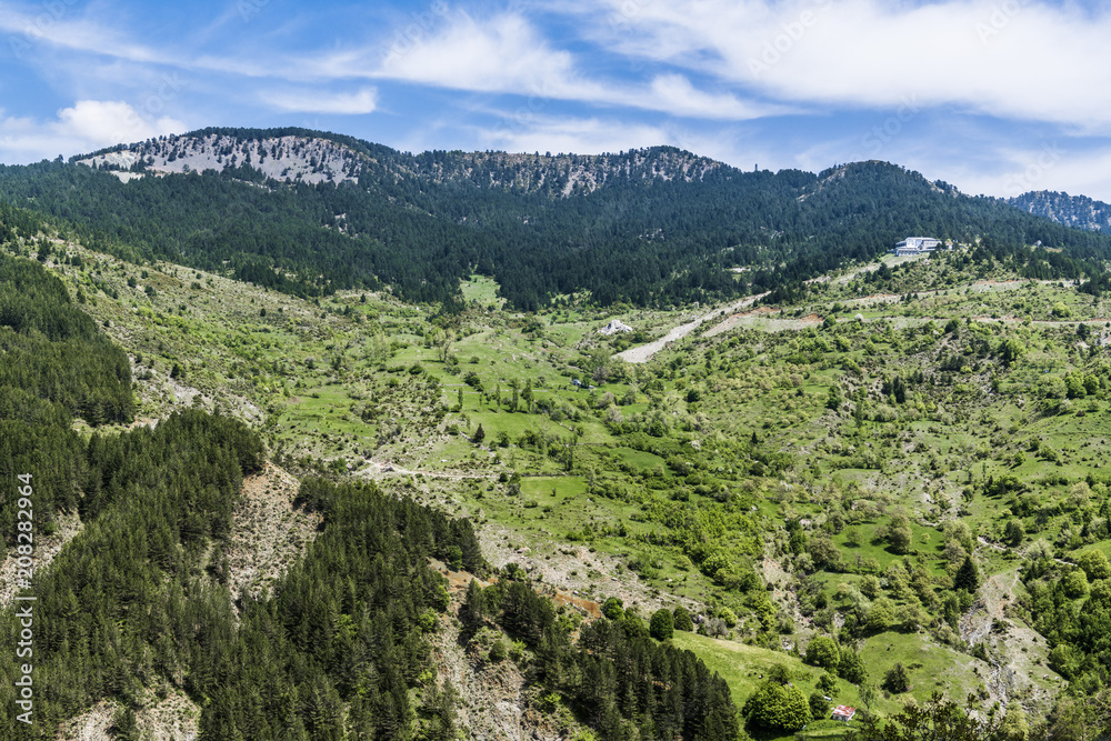 Green valley in the Greek mountains