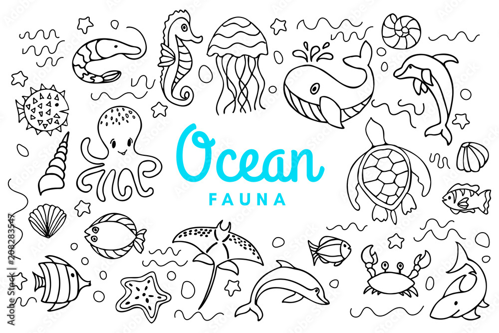 sea ocean fauna sea ocean fauna