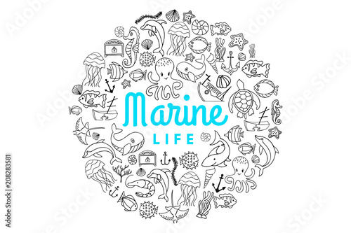 marine life creatures