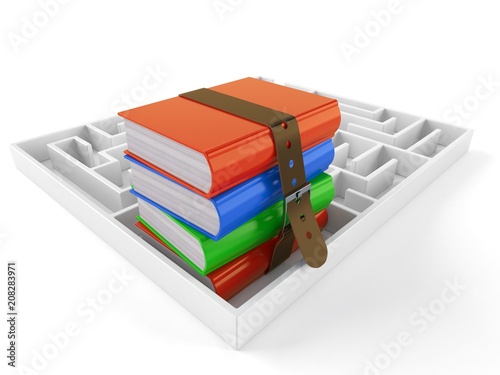 Obraz na płótnie Books with maze