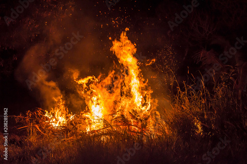 Bonfire blur silhouette Black background red light use work creative