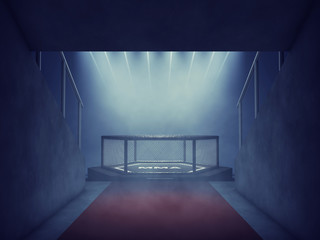 Ingelijste posters Vechtsport MMA arena ingang met spotlights  © nobeastsofierce