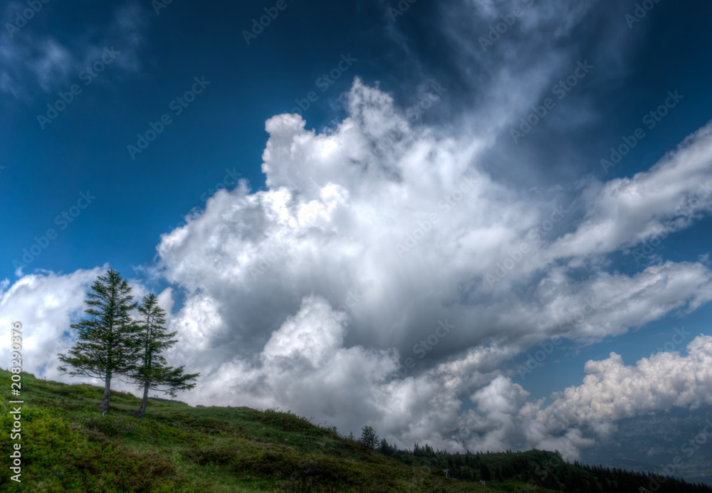 two lone pine trees on the horizon under a wild and expressive cloudy sky