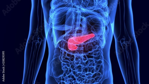 Фотография 3d illustration of Human body Gallbladder anatomy