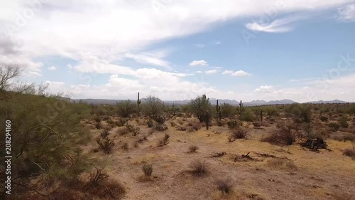 Arizona Desert Aerial Fly Through With Saguaro Cactus