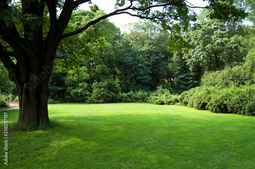 Lawn in a botanical garden in Moscow