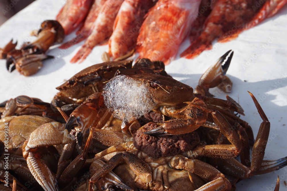 bubbling crab bubbling crab