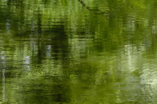 Texture water green сolour , rippled water . Background abstract.