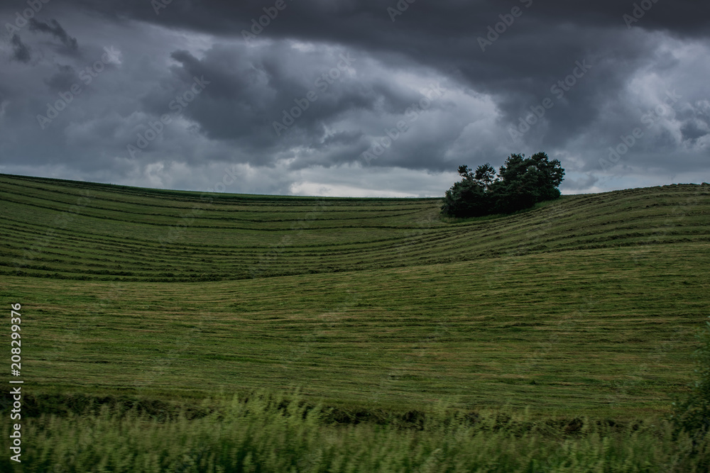 Fototapeta premium Nature filed during the storm