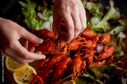 Female hand puts boiled crayfish on a platter. Serve the table.Hearty and delicious restaurant dinner