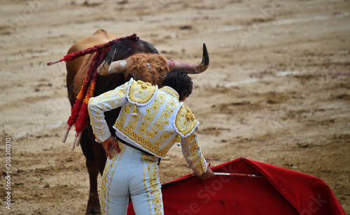 bullfighting in spain with big bull 