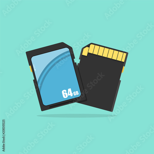SD Memory card illustration in flat style. Vector