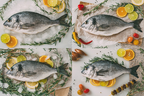 Sea gilt-head bream fish on ice, baking sheet, baking tray with rosemary, lemon, orange, tomato, hot peppers and lime. Fresh Orata, Dorade fish on kitchen table.Collage of set photos.