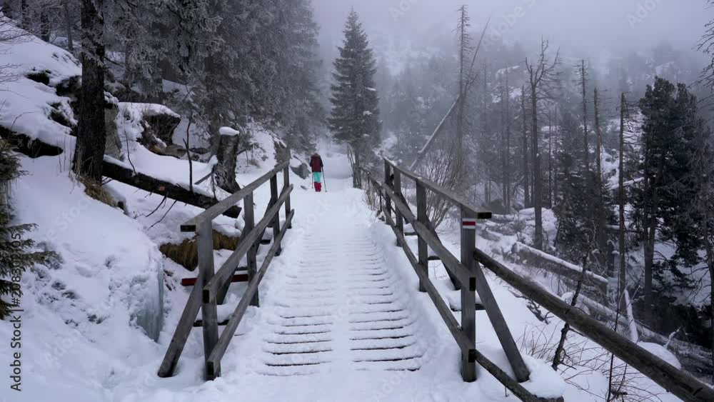Winter hiking in rocky forest landscape covered in snow during cold foggy weather Winter hiking in rocky forest landscape covered in snow during cold foggy weather