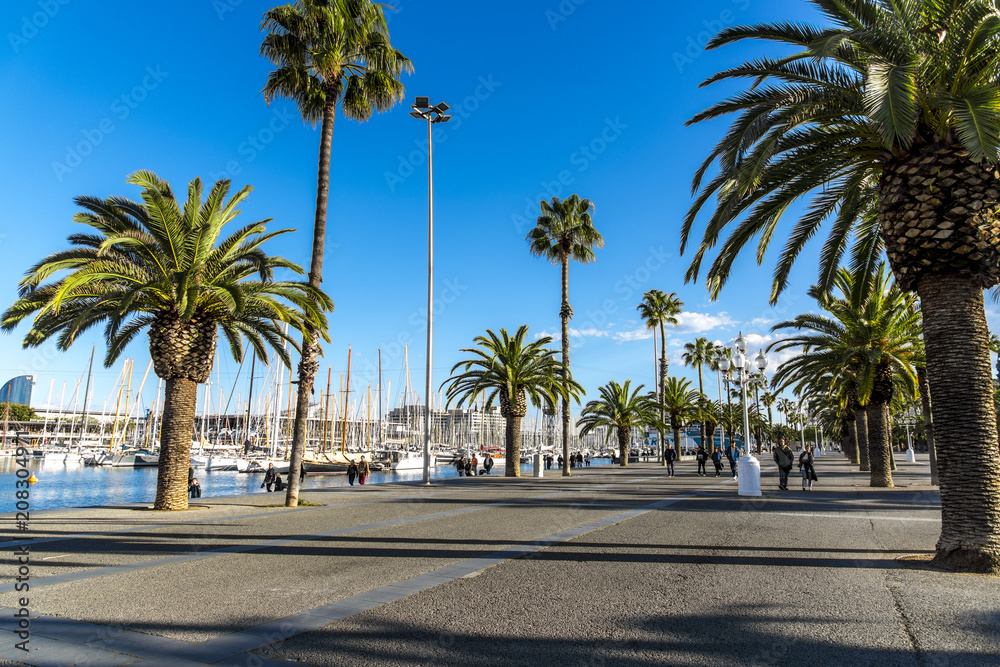 Embankment with palm trees and yachts in Barcelona, Spain.