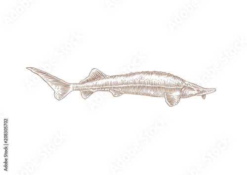 Live fish