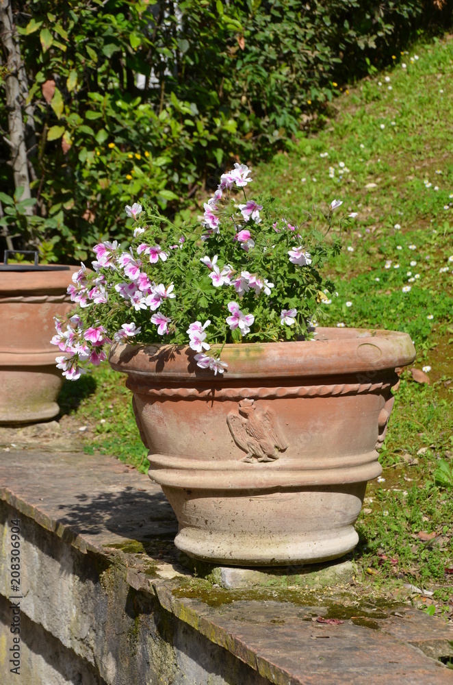 flower pot garden
