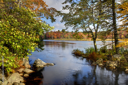 Fall Leaves around the Lake Fototapet