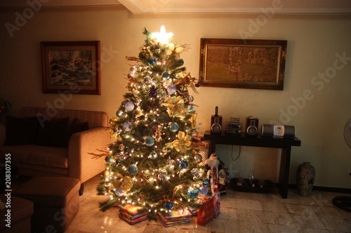 Christmas in the living room