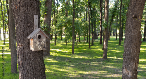 background. park with green grass and tall trees, a birdhouse on the tree