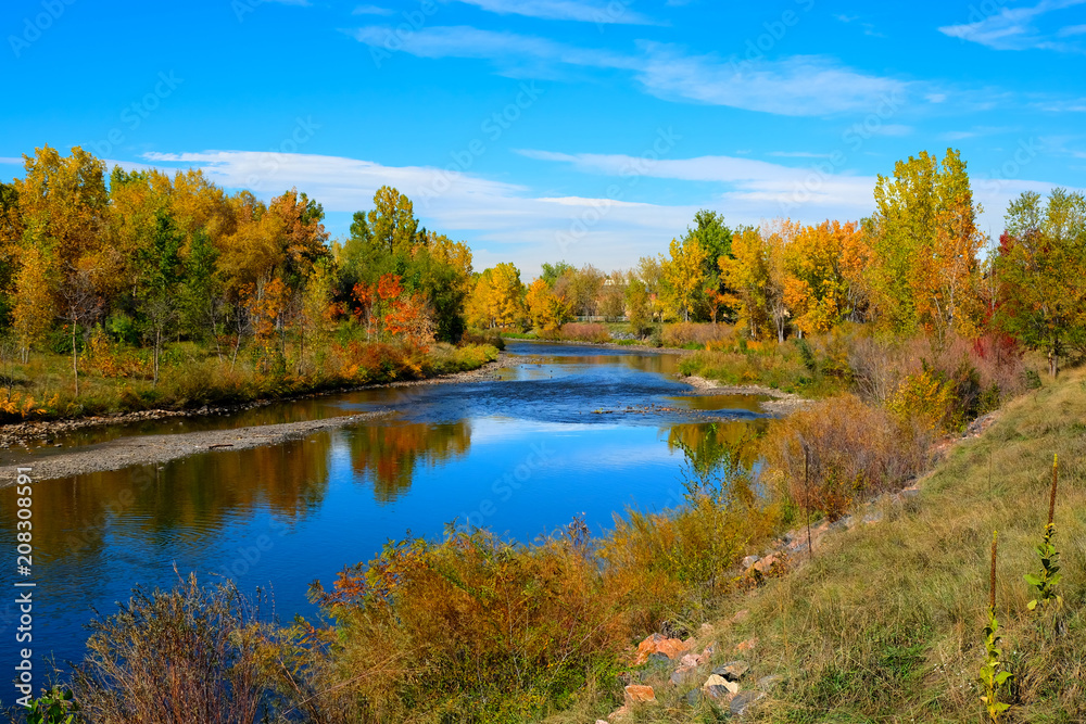 Colorful fall trees along the river