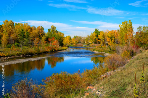 Colorful fall trees along the river